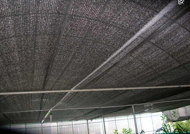 HDPE Knitted Plastic Sun Shade Net , Sun Screen Fabric 1-6m Width