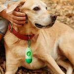 Blue Green Dog Waste Bag Holder 11.5*4.3cm Plastic Dog Poop Holder For Walks