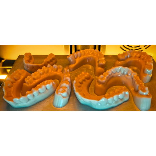 Model Resin Dental Unique Temperature Sensitivity Extremely Convenient Operation Solid Shape