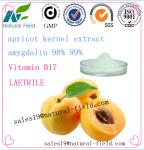apricot kernel extract amygdalin 98%, 99% manufacturer