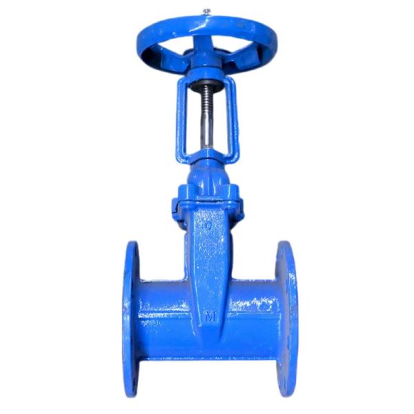 Y Type Large Diameter Valve Ductile Iron Soft Sealing Flange Gate Valve Z41X-16Q