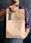 Water Resistance 200gsm Foldable Paper Bag