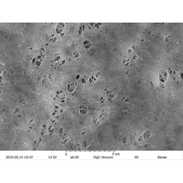 Magnification Max 150000X Scanning Electron Microscope 5nm Resolution EDS BSE