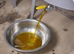 Industrial Screw Oil Expeller Equipment Alloy Material High Oil Rate