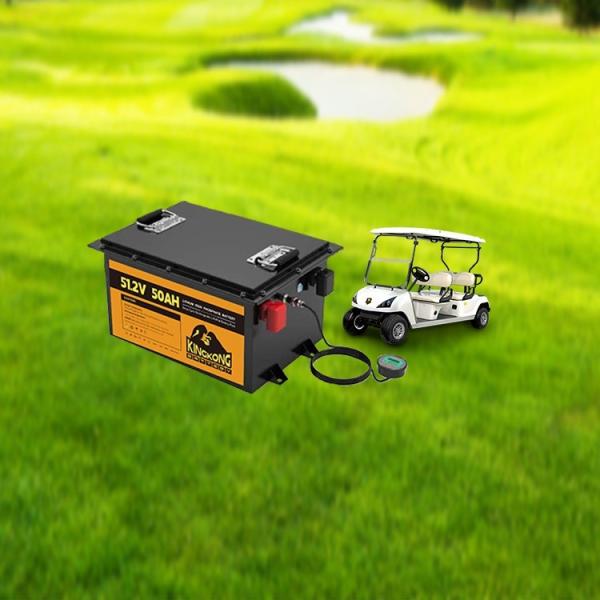 51.2V 105Ah Golf Carts Battery Car Lifepo4 Rechargeable Pack with OEM/ODM