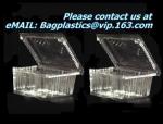 Factory Blister Plastic Storage Box Food Packaging Containers Disposable