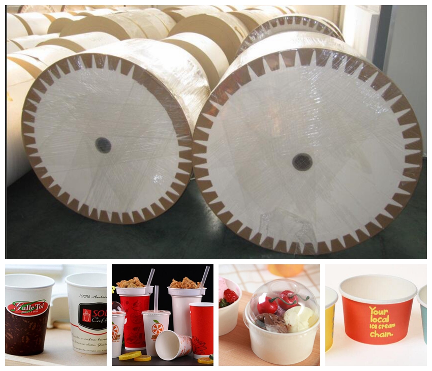 single side glossy pe coated cup paper