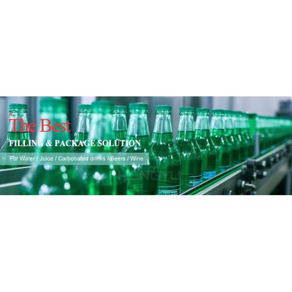 2025 Hot Sale Cold Carbonated Bottle Drinks Making Machine Soft Drinks Co2 Beverage Mixer for Filling Production Line