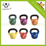 Non Sliping Handle Kettlebell Gym Equipment With Beautiful Appearance