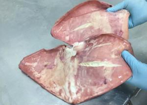 Wholesale 300g Up Giant Sea Squid , Frozen Boiled Giant Squid Fin Peru Squid Gigas Bqf Size from china suppliers