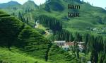 Marvelous Private Sightseeing Tours 5 Day'S Ilam Tea Garden Trek 3636m Height