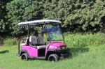 Pinky Golf Buggy 48V 2+2 Seater with Trojan Battery