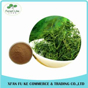 Wholesale Wholesale Natural Saponins 20 %- 98 % Gynostemma Extract for Lower Blood Pressure and Lipid from china suppliers