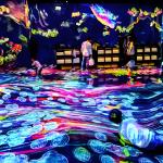 3d Holographic Interactive Wall Projection Software Immersive Room Experience