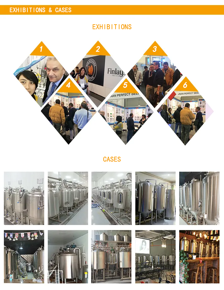 480 KG Capacity Stainless Steel Industrial Beer Brewing Equipment