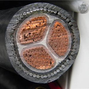 Wholesale Compacted Copper Conductor Low Voltage Power Cable 3x185mm2 XLPE Insulation from china suppliers