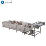 OEM Vegetable Washing Machine Commercial for Potato Pesticide Residues cleaning