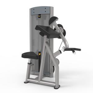 Wholesale Commercial Steel Bicep Curl Machine For Arm Workout Strength Training from china suppliers
