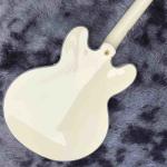 Double F-Holes Hollow Body Jazz Electric Guitar Ebony Fretboard Tremolo System