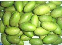 Belt Type Coffee Cherry Processing Machinery For Green Red Cofee Cherry Color Sorter