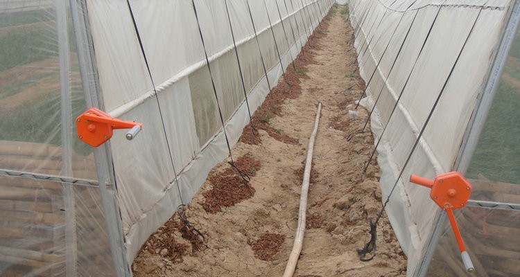 Stable Structure Tunnel Greenhouse for Vegetable Fruits Flowers in Ghana Easy Assembly
