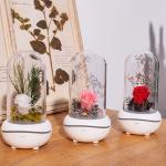Real Flower ultrasonic essential oil humidifier aromatherapy diffuser with usb