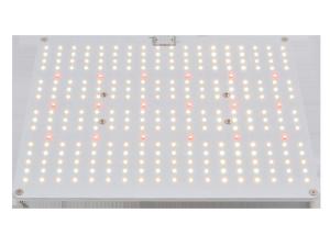 Wholesale UL 100W Aluminum Alloy High PPFD Grow Light from china suppliers