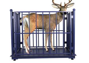 Wholesale 3000kg Livestock Scales For Cattle , 60HZ Sheep Weighing Scales from china suppliers