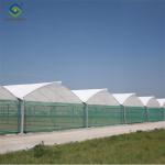 Practical Po Film Gothic Greenhouse Multispan Agriculture Greenhouse