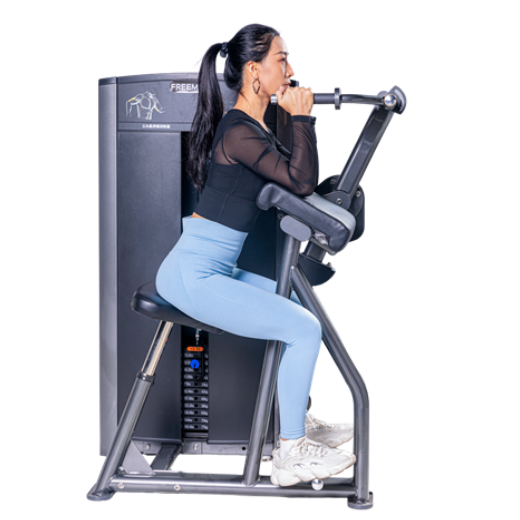 TOP QUALITY Triceps Machine Tricep Comercial Gym Equipment