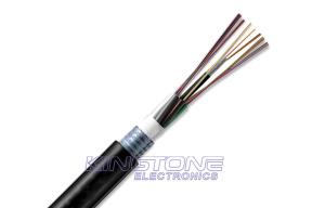 Wholesale 9.7mm Armored AL Tape Fiber Optic Patch Cables GYTA / Networking Steel wire cable from china suppliers