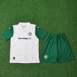 Palmeiras 2025-2026 Away Children Jersey Group Customization