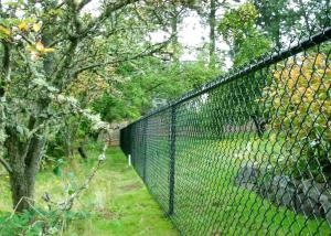 Wholesale 65mm x 65mm x 4.00mm black pvc coated chain wire fence for sale from china suppliers