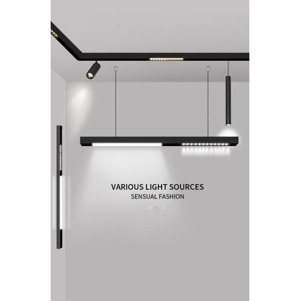 Low Voltage 48v 10w Magnetic Pendant Light LED Commercial Home Lighting