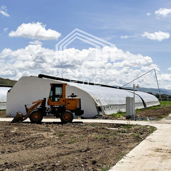 Plastic Film Agricultural Greenhouse With High Insulation Automatic Air