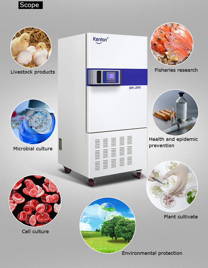 110V 220V Program Control Lab Cooling Incubator Refrigerated Incubator