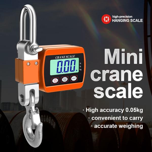 Accurate Weight Measurement Crane Scale with 500KG Capacity LED/LCD Display Heavy-Duty Design and CE ROHS Certification