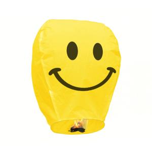 Wholesale Paper Biodegradable Sky Lantern from china suppliers