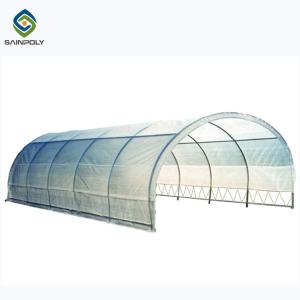 Wholesale 150 Micro PE Film 4m Single Tunnel Greenhouse For Flowers from china suppliers