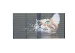 Airports Transparent Flexible Led Display Panel 256x128 Dots