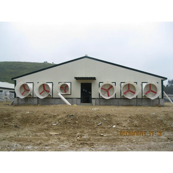 Weather-Resistant and Spacious Steel Structure Building with Reliable Quality for Construction