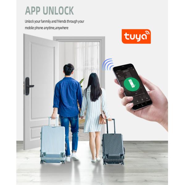 Digital Tuya Glass Door Lock