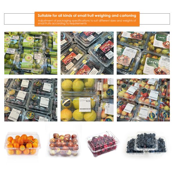 Fruit Clamshell Packaging Line Automatic Fruit Weighing And Filling Machine PET Box Fruit Packaging System