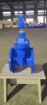 Soft Seat Resilient Seated Valves Gate Valve 80mm For Industrial