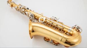 Wholesale Professional champagne golden color alto saxophone The saxophone is made of brass Constansa Instrument Export co Ltd from china suppliers