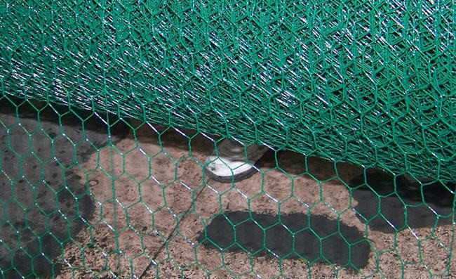 Vinyl Coated Straight Twist Hexagonal Wire Netting For Chicken