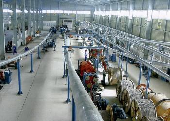 Shanghai Shenghua Cable (Group) Co., Ltd.