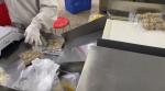 Frozen Food Samosa Meatball Siomai Dumpling Packing Machine 40BPM 2.0kW / Unit