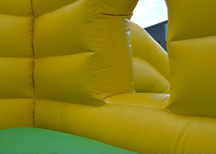 12ft X 18ft Mickey Mouse Inflatable Combo Birthday Party Bounce House And Slide