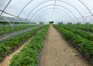 Wholesale 100% New HDPE Agricultural Anti Insect Mesh Netting For Tomato And Cabbage Greenhouse from china suppliers